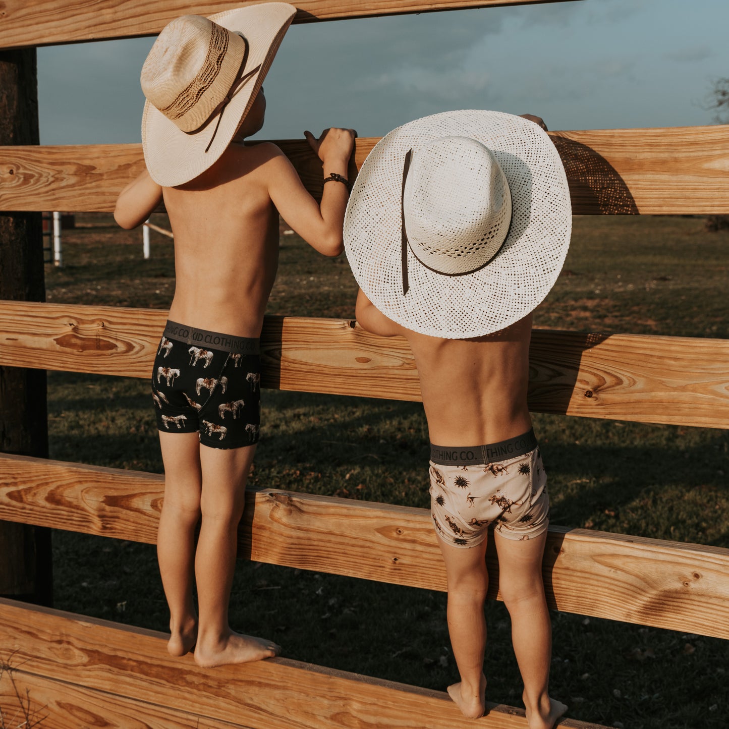 Rodeo Cowboy Boxer Briefs (5 Pack)