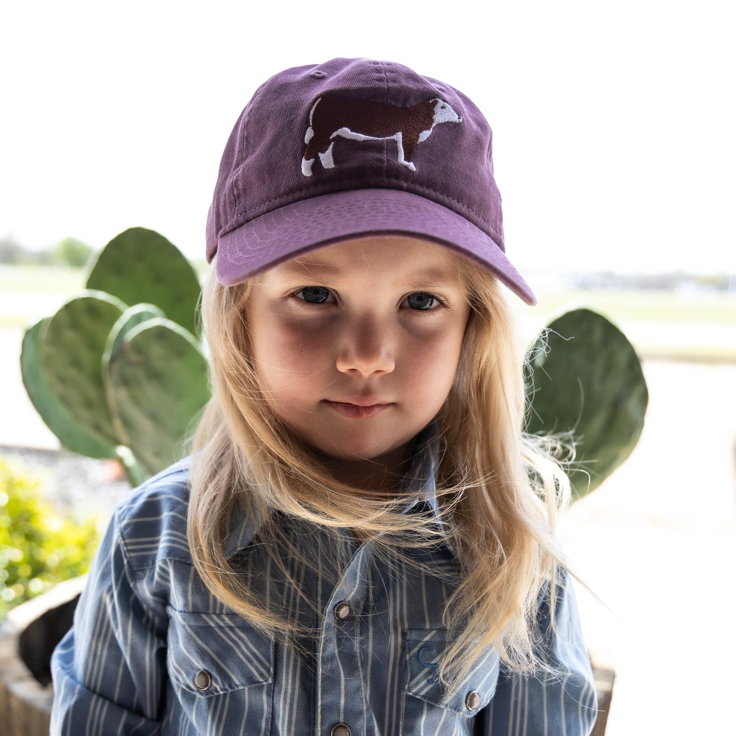 Purple Hereford Cap