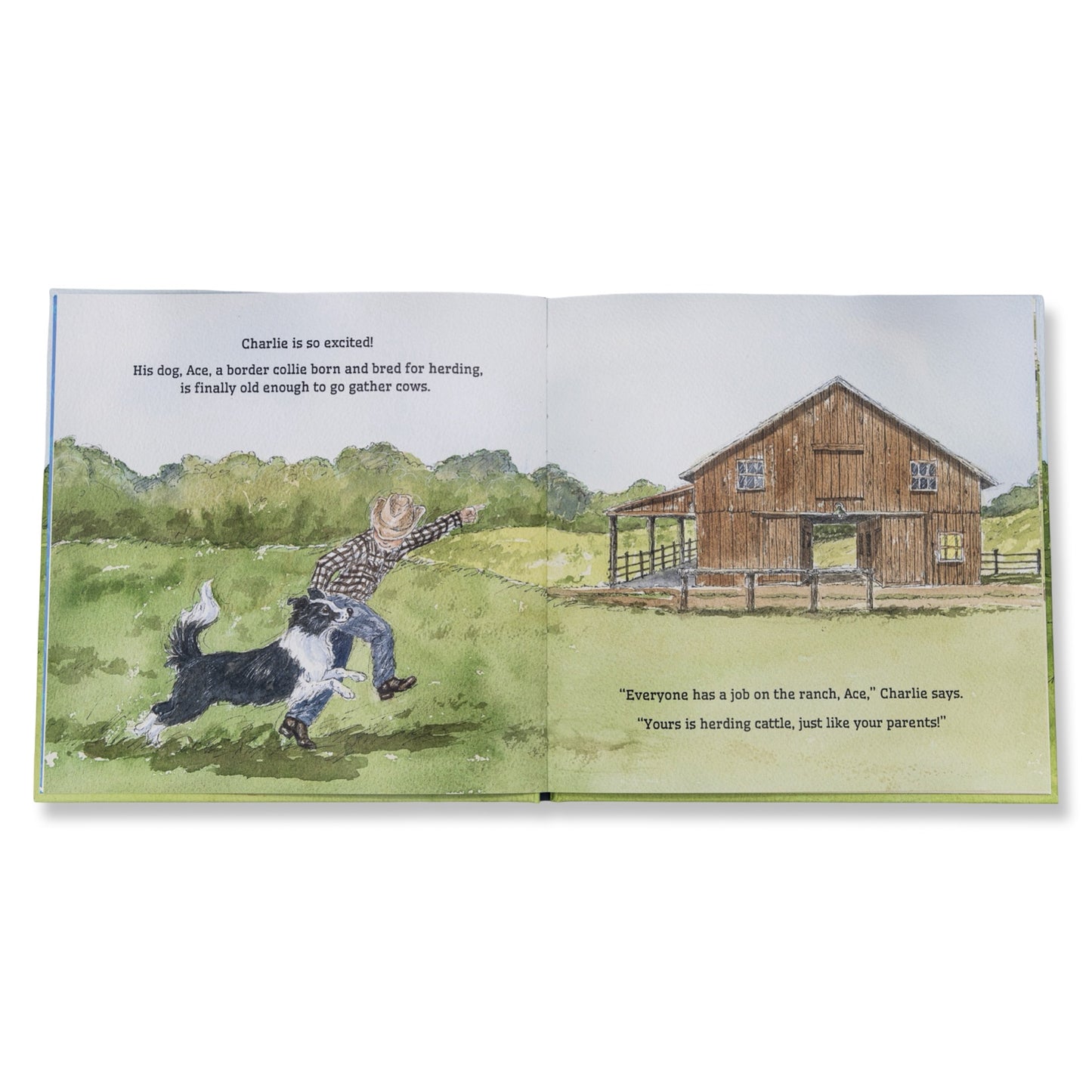 A Place for Ace Hardcover Book