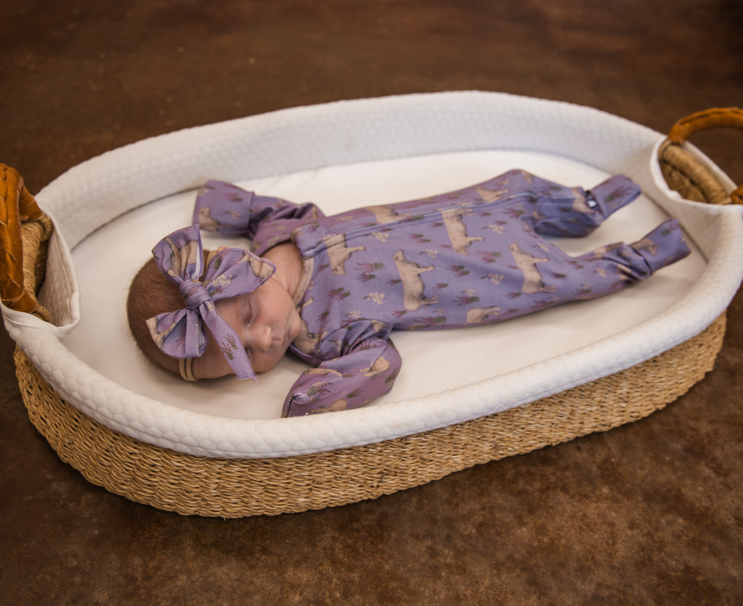 Charolais Nylon Band Headband