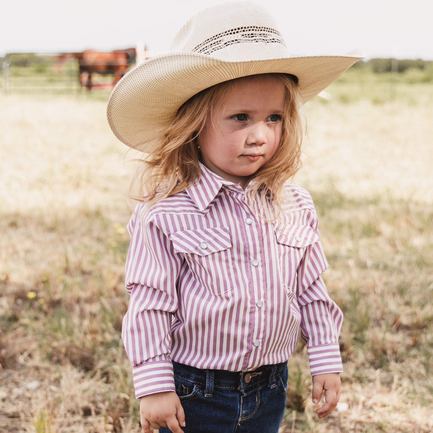 Pink & White Stripe Long Sleeve Pearl Snap