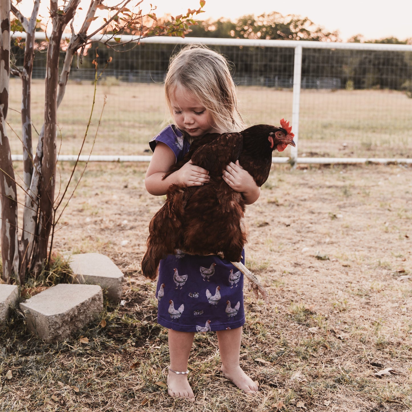 Purple Chicken Gown
