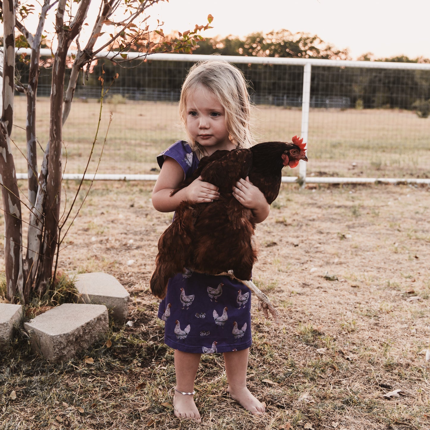 Purple Chicken Gown