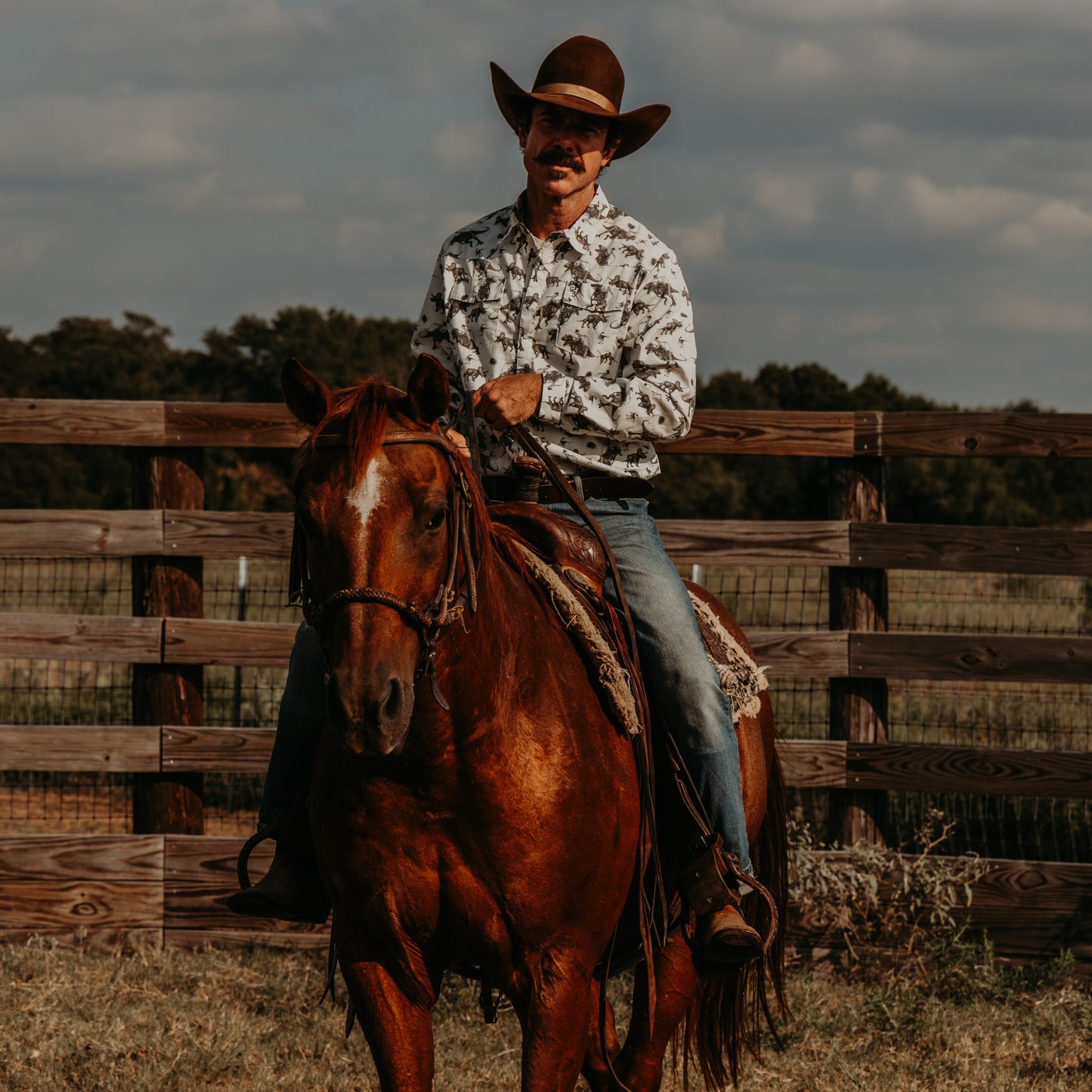 Cowboy Dino Long Sleeve Pearl Snap (Toddler-Adult)
