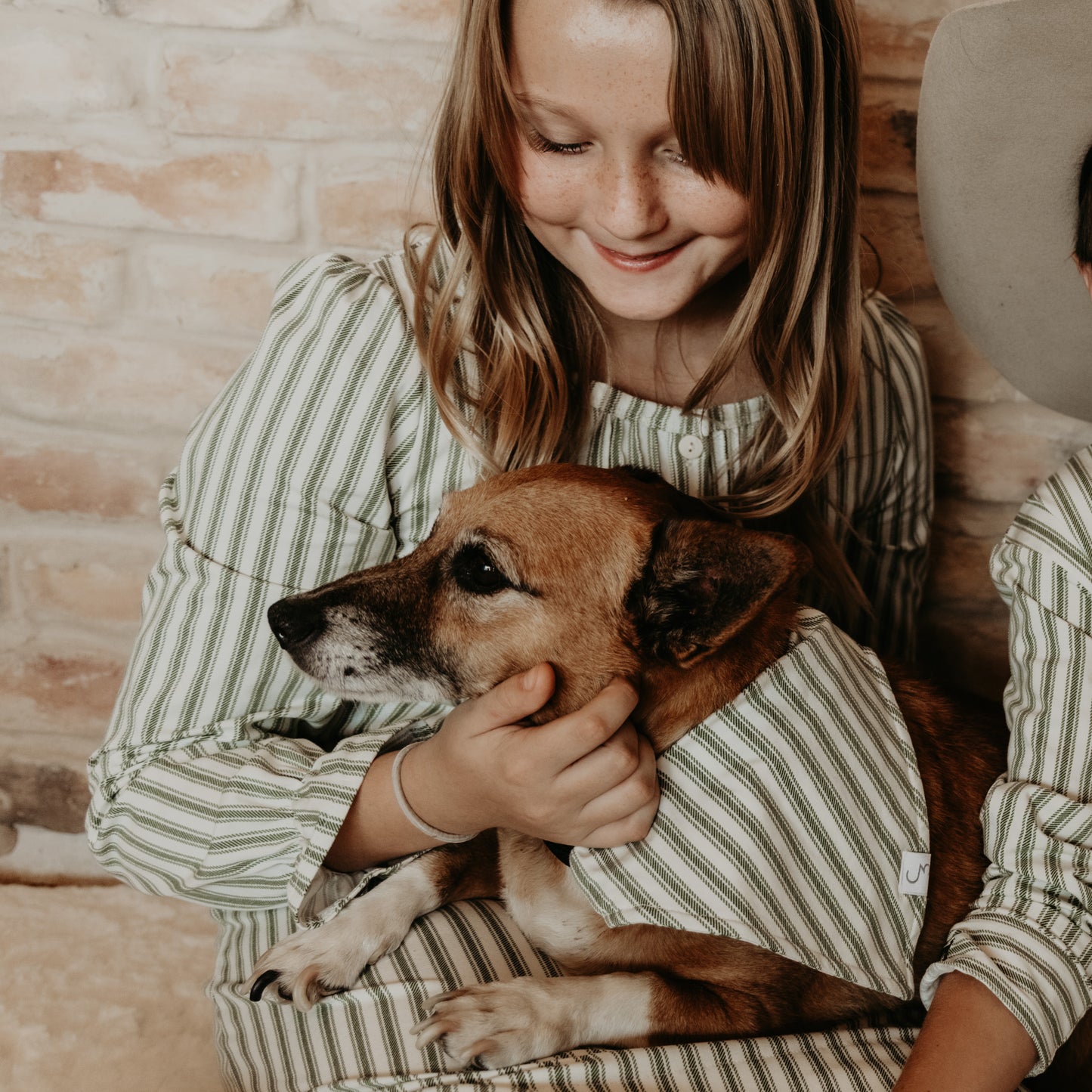 Silent Night Vintage Stripe Christmas Adjustable Dog Collar with Bandana