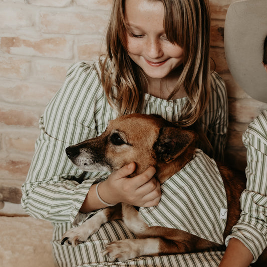 Silent Night Vintage Stripe Christmas Adjustable Dog Collar with Bandana