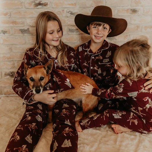 Traditional Red Cowboy Christmas Adjustable Dog Collar with Bandana