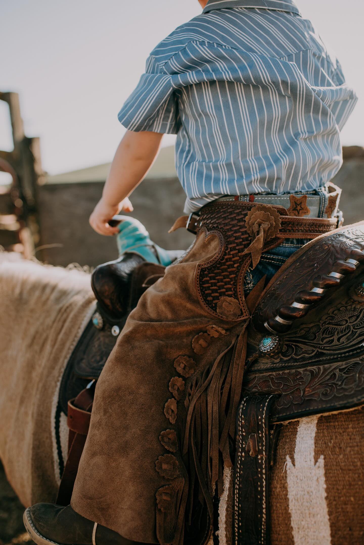 Plains Chaps