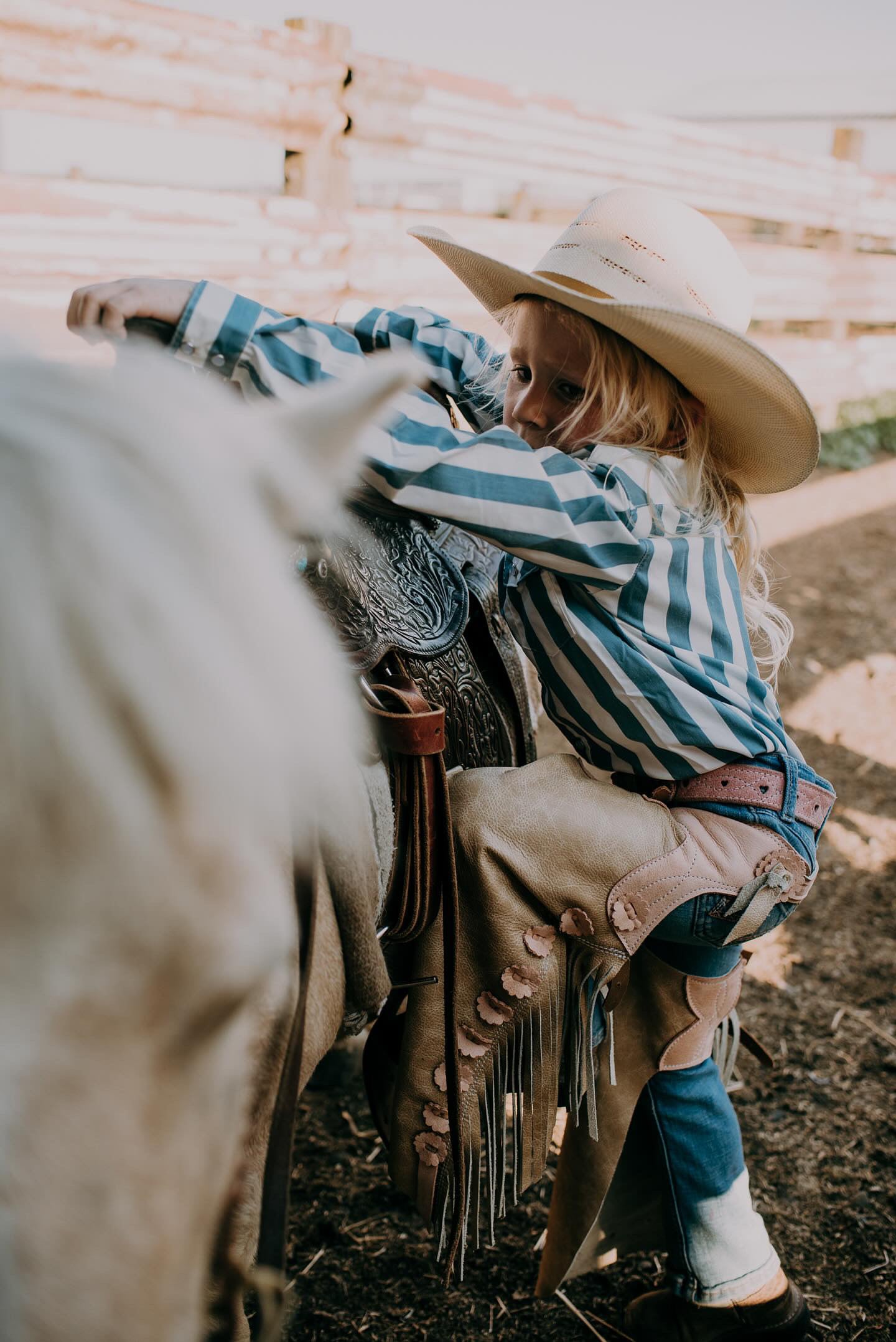 Prairie Chaps