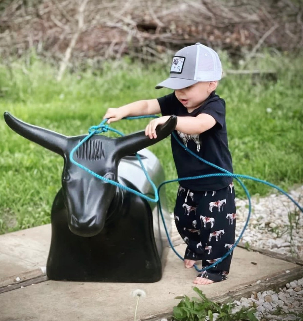 Ranch Horse Cap