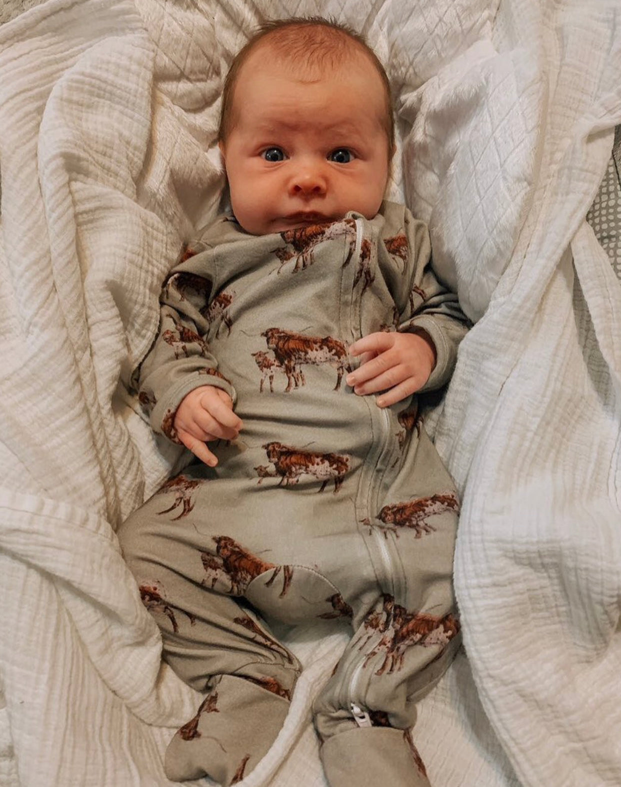 Sagebrush Longhorn Folding Feet Jammies