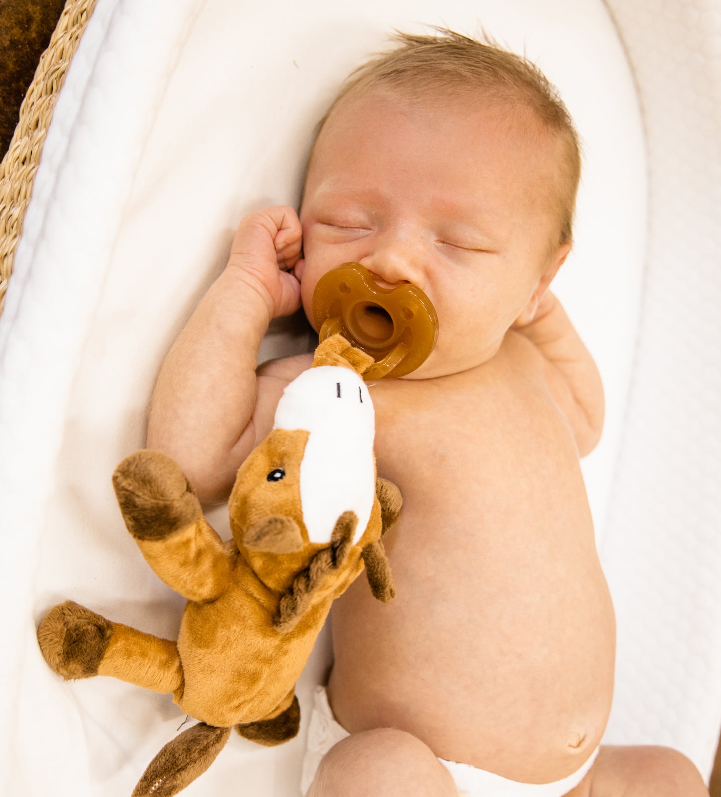 Bay Horse Detachable Pacifier