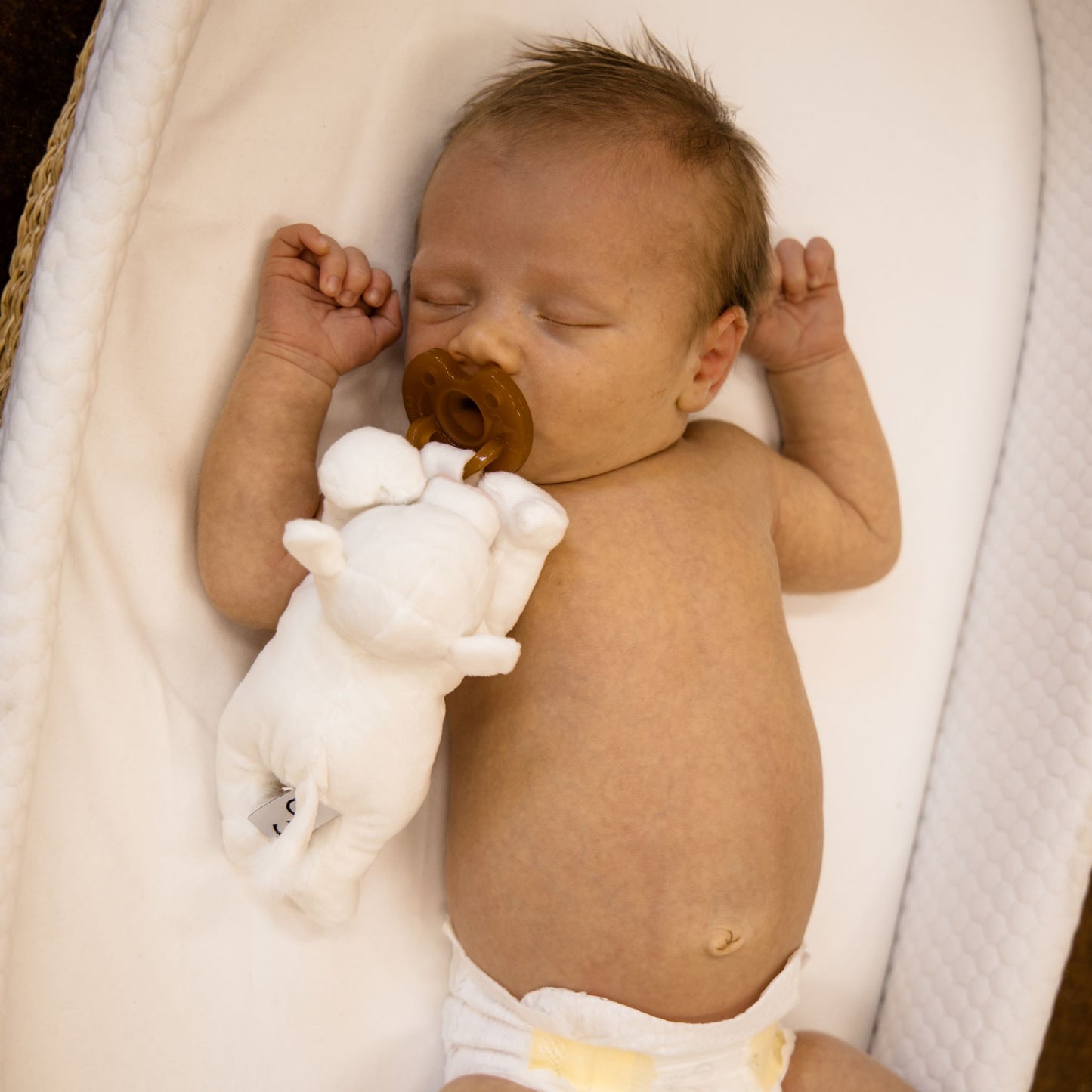 Charolais Cow Detachable Pacifier