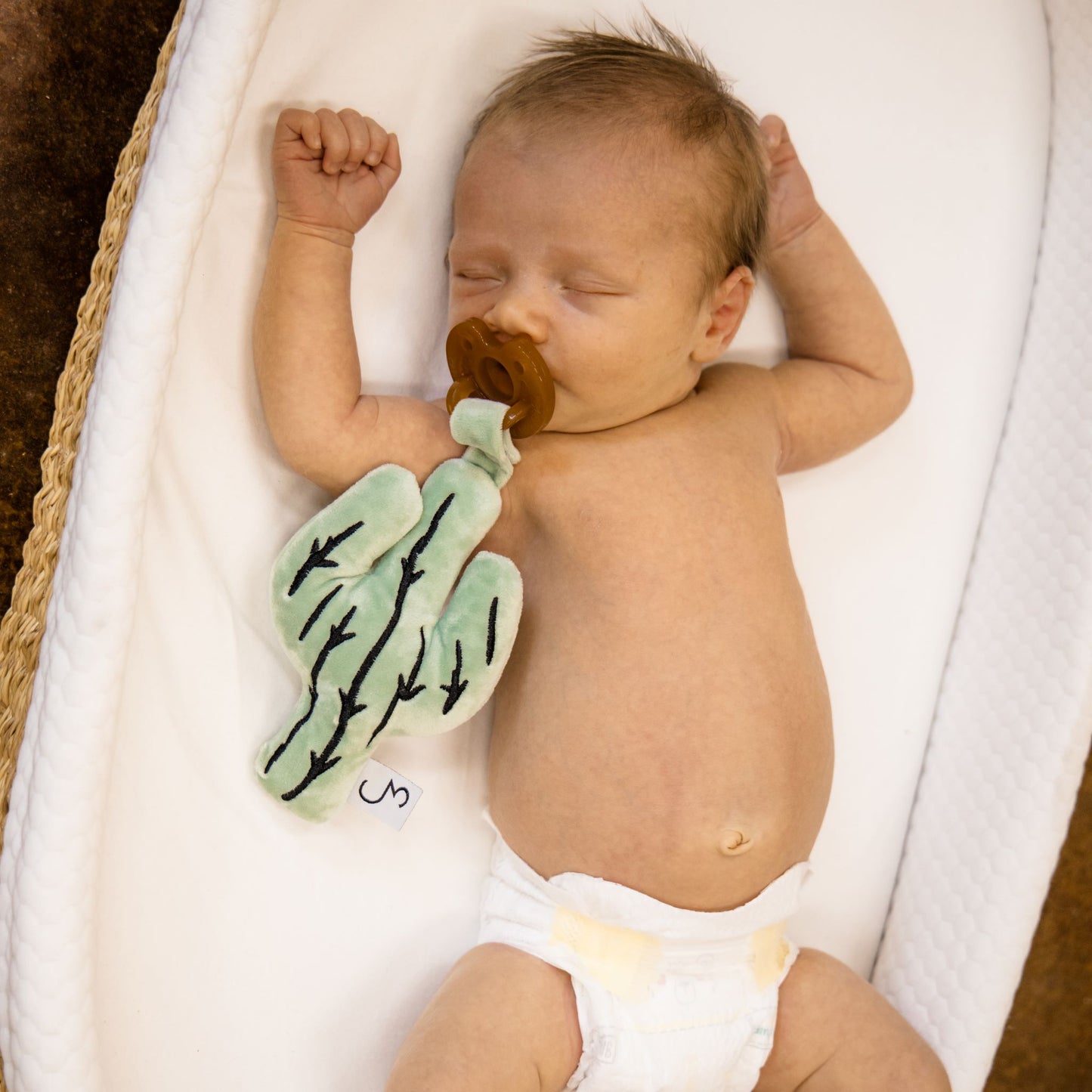 Cactus Detachable Pacifier