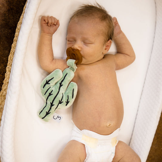 Cactus Detachable Pacifier