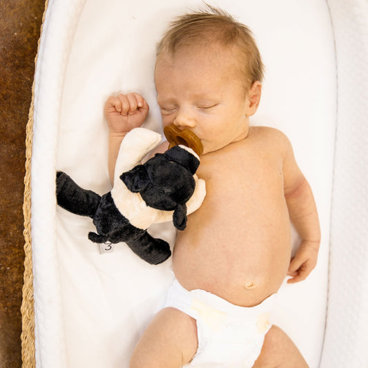 Hampshire Pig Detachable Pacifier