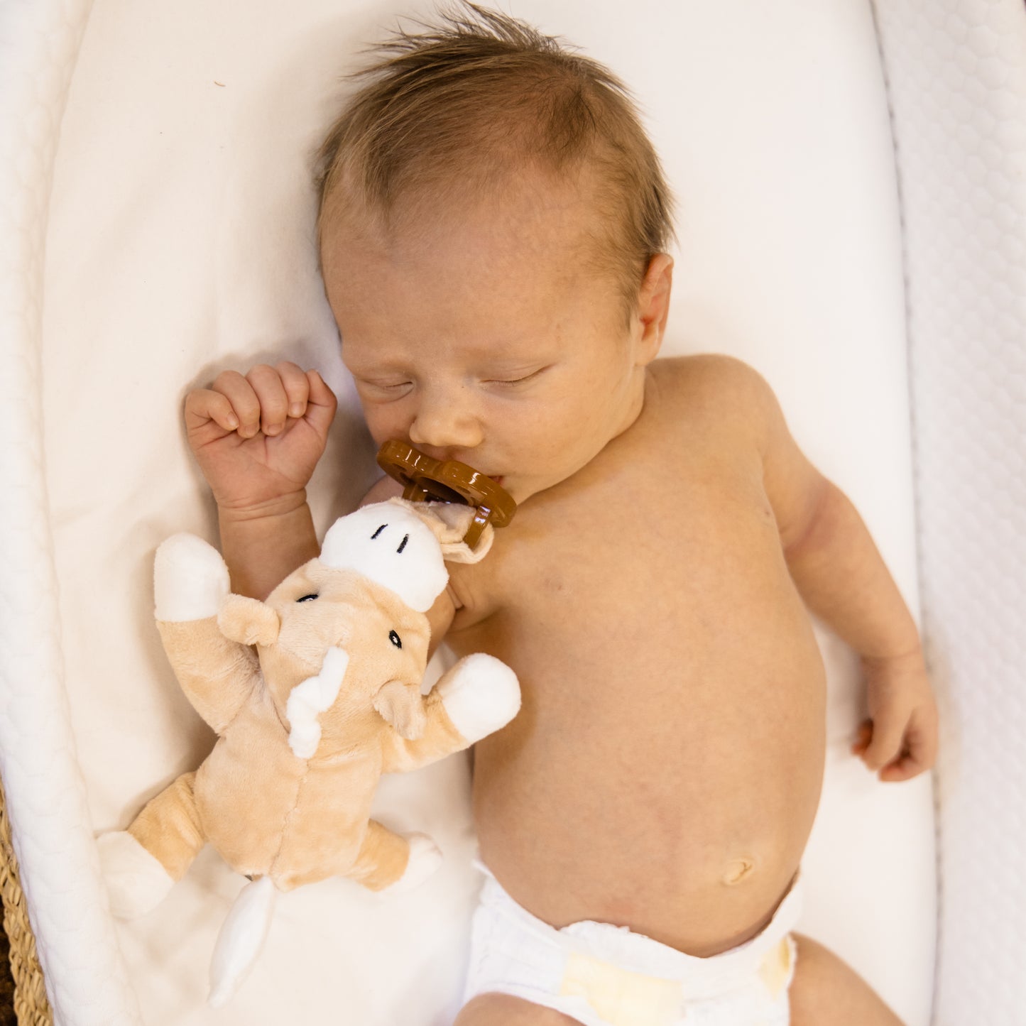 Palomino Horse Detachable Pacifier