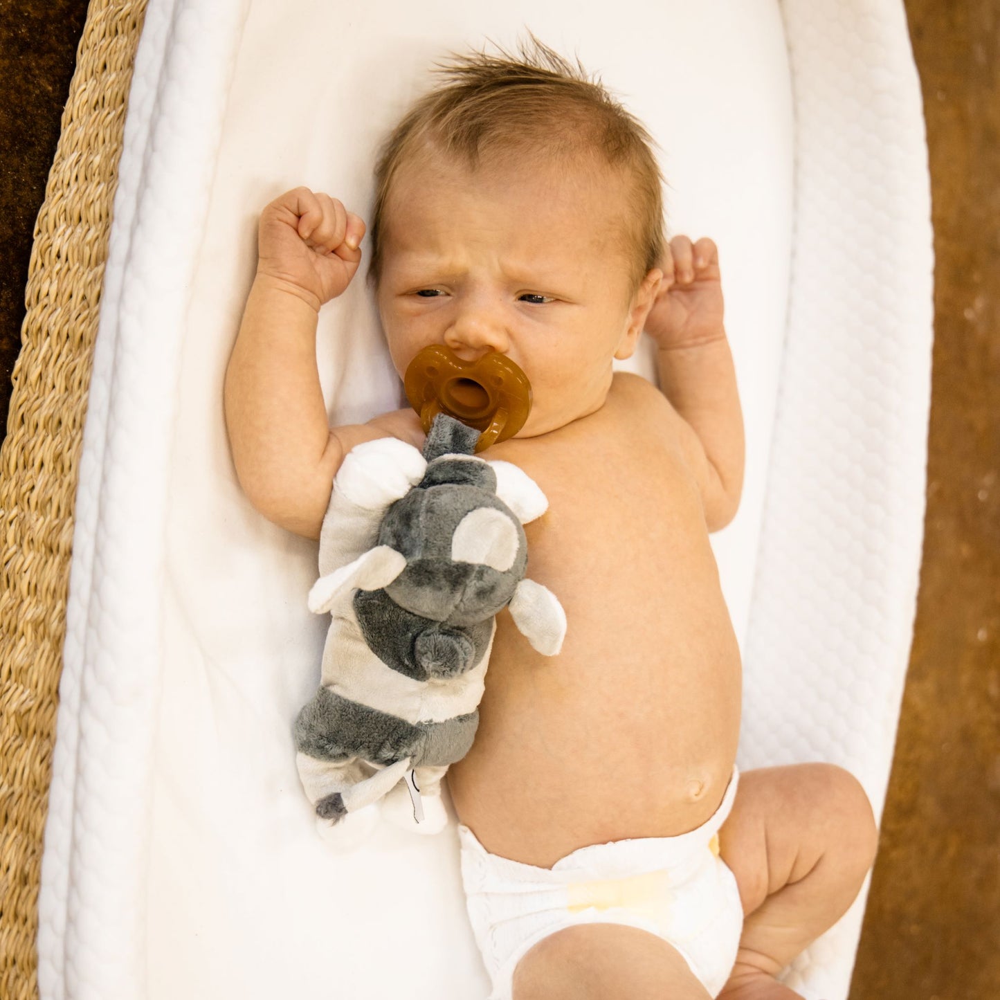 Brahman Cow Detachable Pacifier