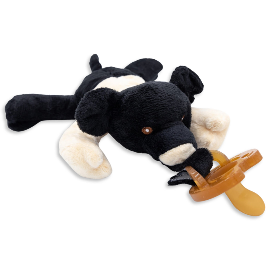 Hampshire Pig Detachable Pacifier