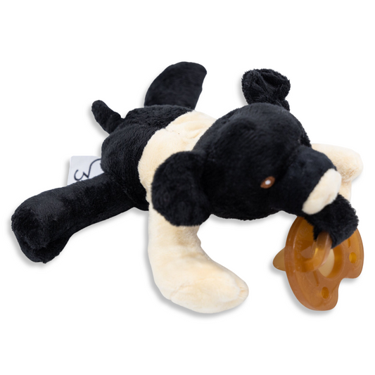 Hampshire Pig Detachable Pacifier