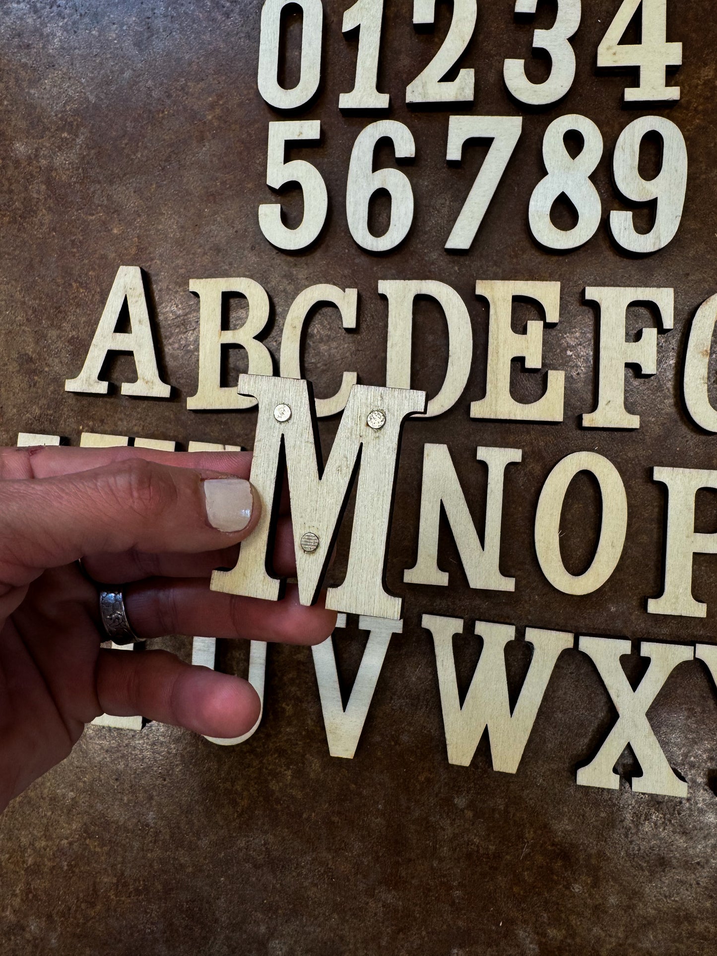 Alphabet, Numbers, & Cattle Drive Magnet Set (40 Pieces)