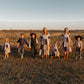 Cowboy Charm Patchwork Cotton Gauze Dress (Infant-Adult)