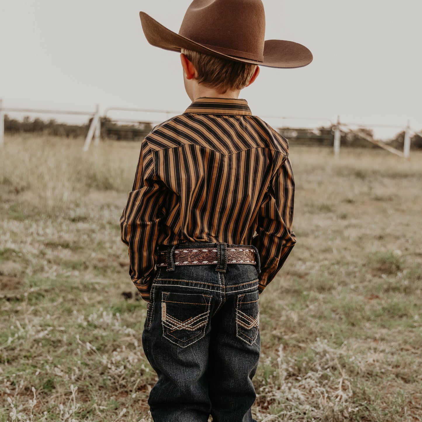 Black & Gold Stripe Long Sleeve Pearl Snap