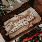 Vintage Beige Cowboy Christmas Nylon Band Headband