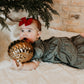 Mistletoe Dress (Infant-Adult)