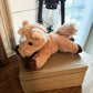 Palomino Stuffed Animal