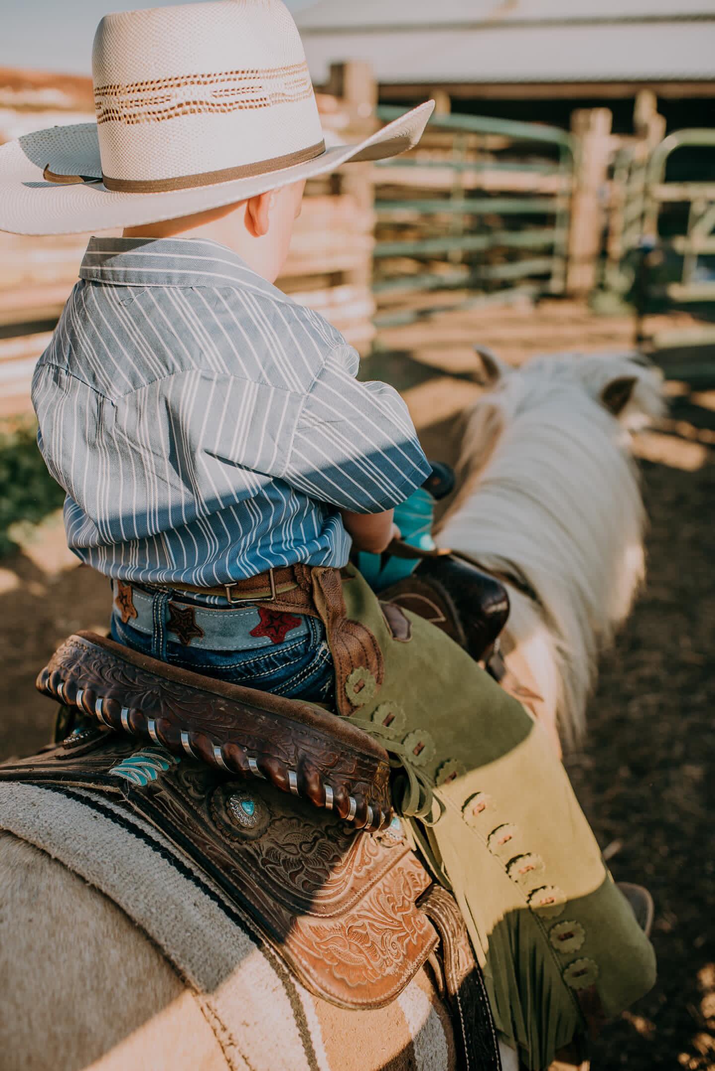 Brush Chaps