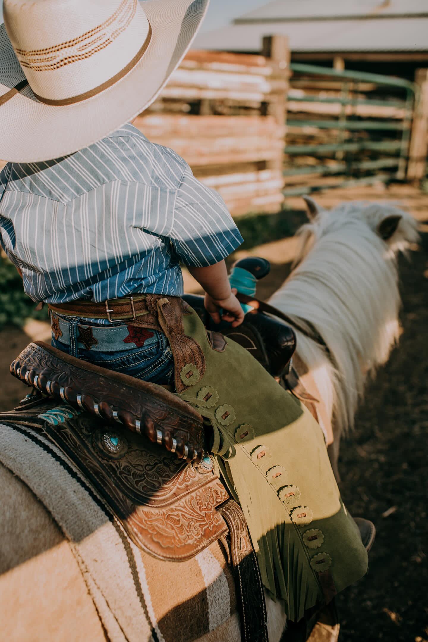 Brush Chaps