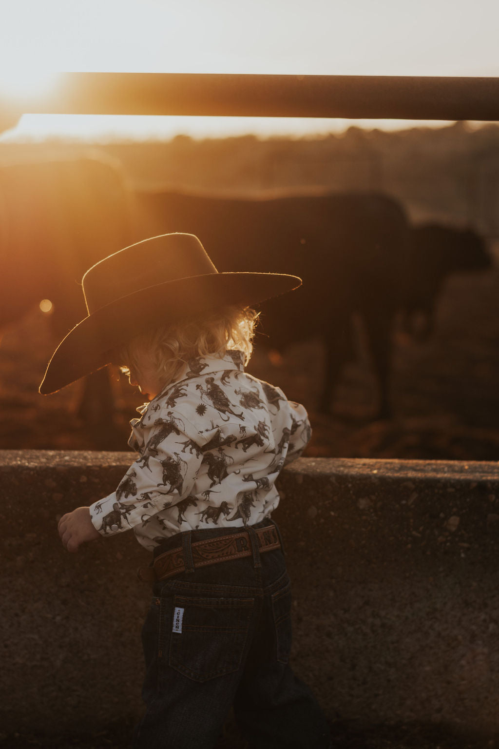 Cowboy Dino Long Sleeve Pearl Snap Onesie