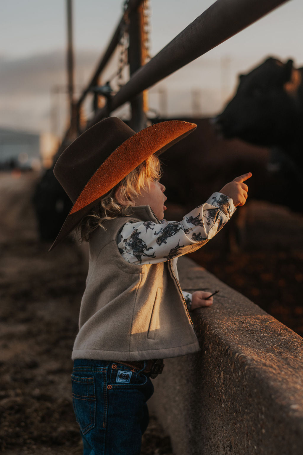 Cowboy Dino Long Sleeve Pearl Snap Onesie