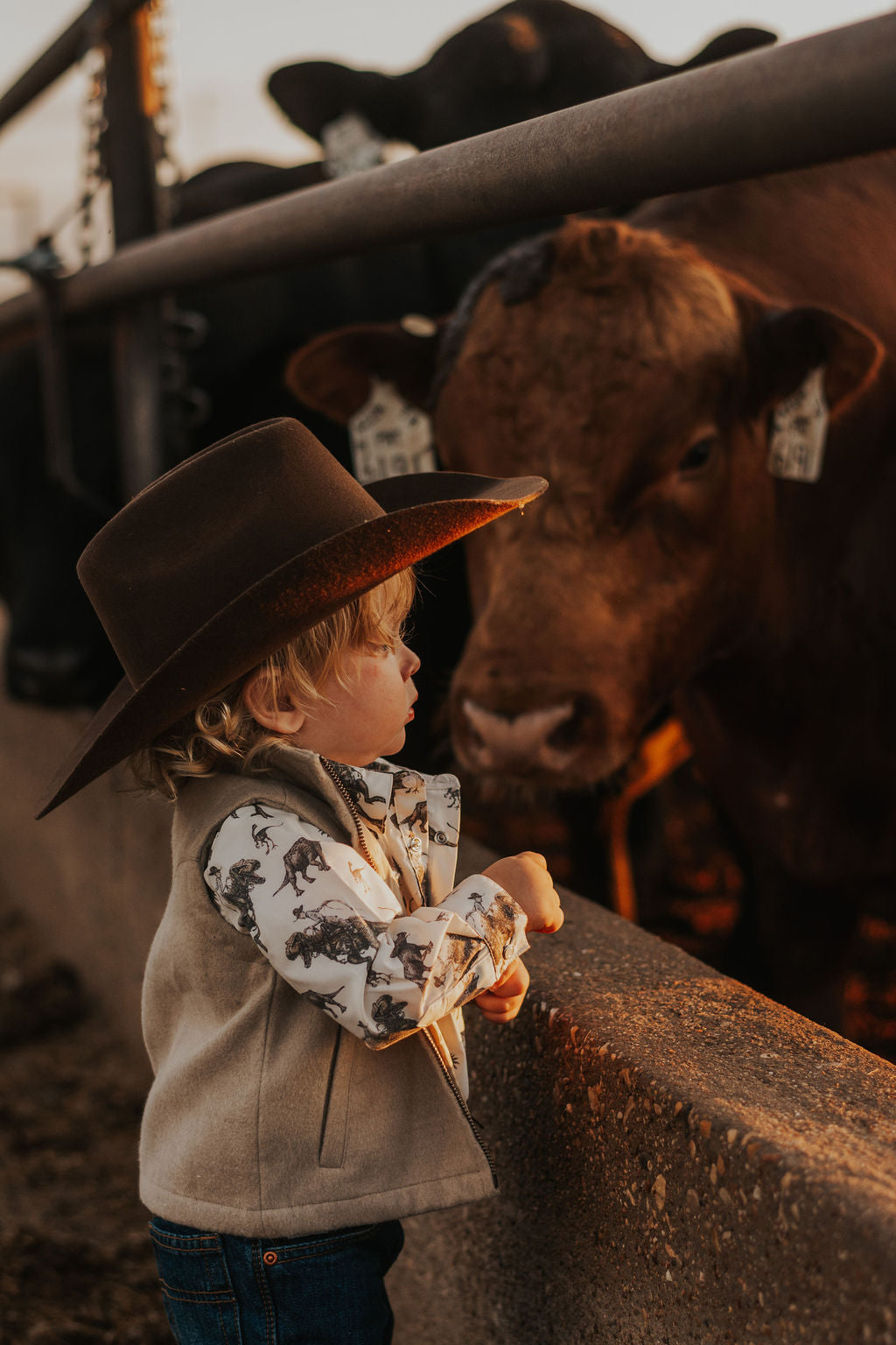 Cowboy Dino Long Sleeve Pearl Snap Onesie